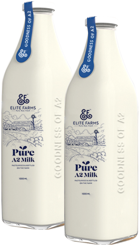 Milk Bottle